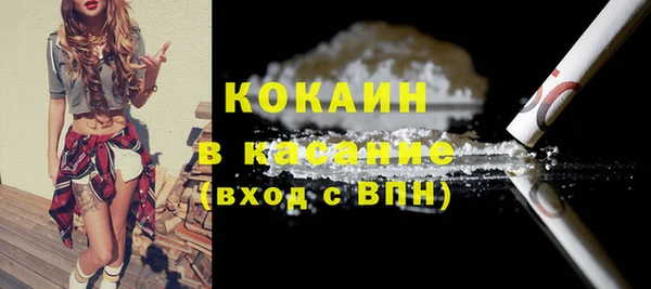 индика Балахна