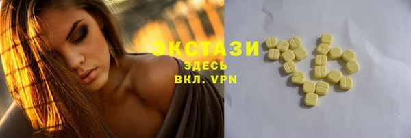 индика Балахна