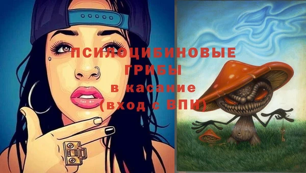 ECSTASY Баксан