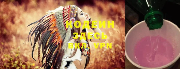 индика Балахна
