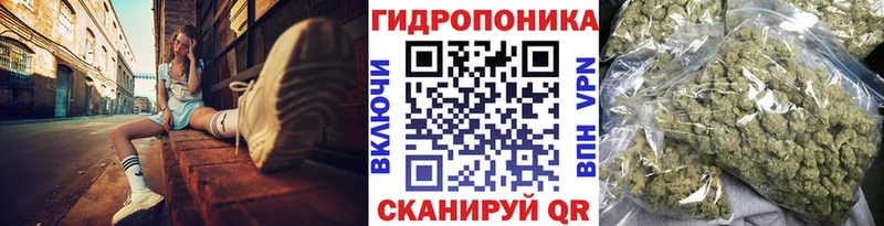 Купить где  Красный Холм  Бошки марихуана AK-47 